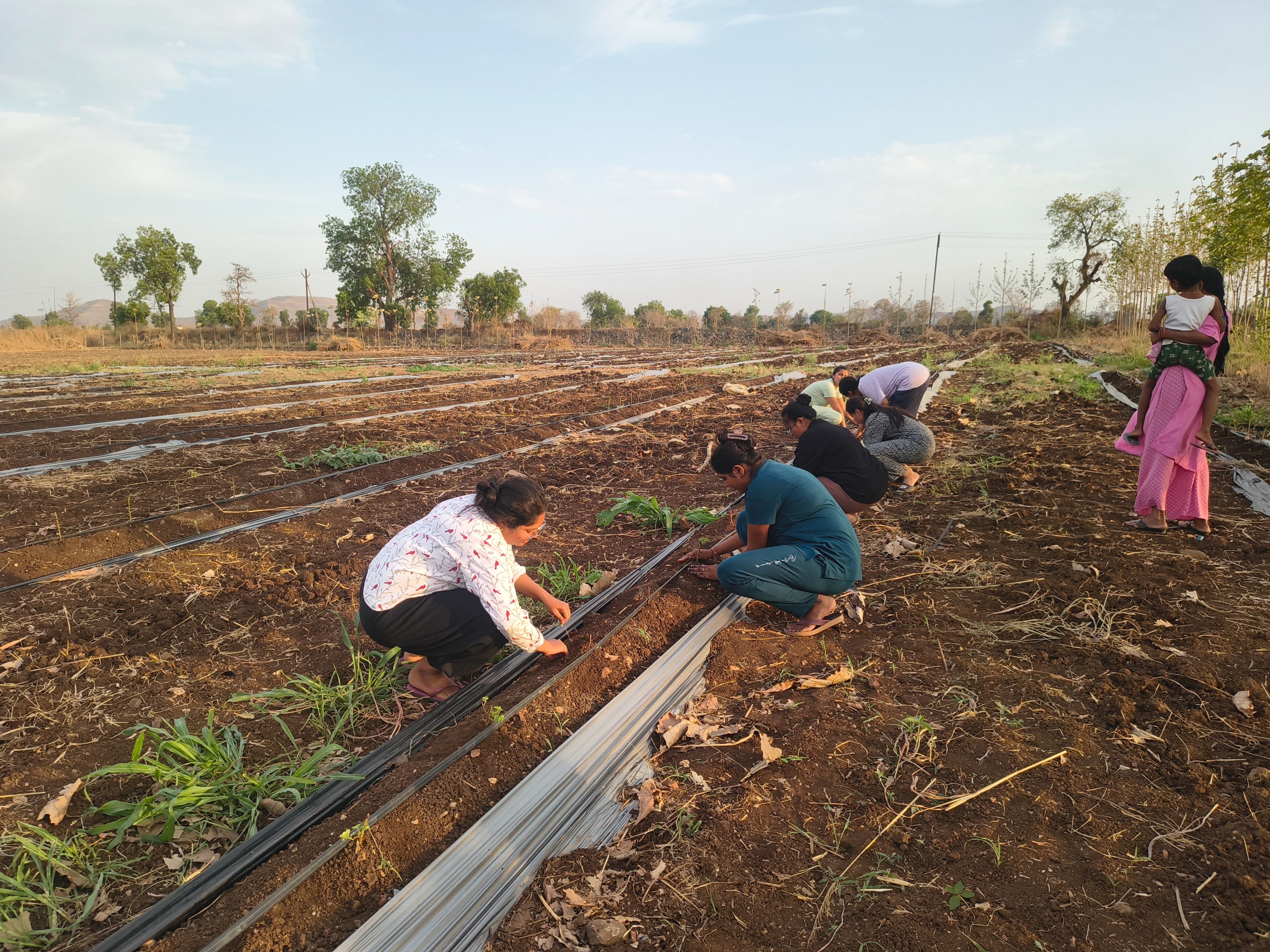 Learning on land and in the village