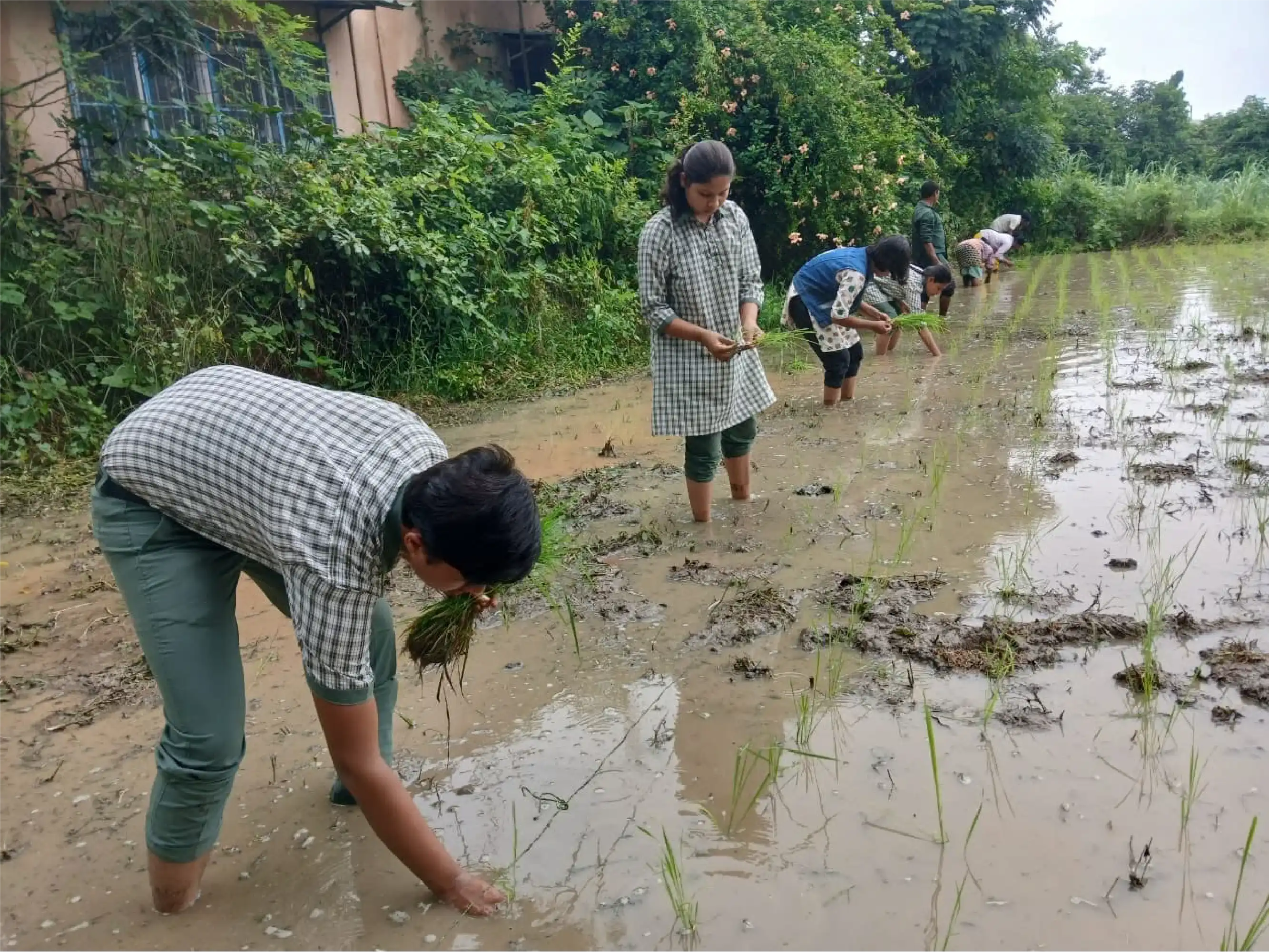 Learning Through Sustainable Living
