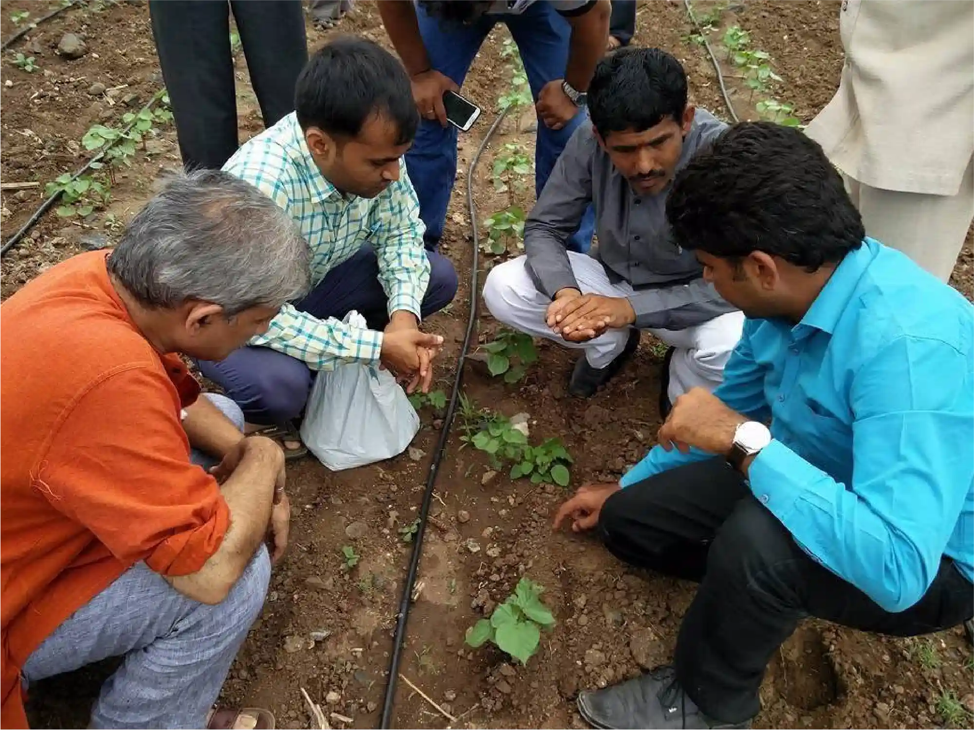 Farmer Training and Capacity Building