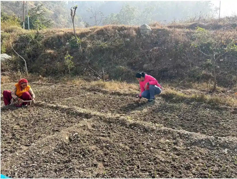 Sustainable Farming and Local Production